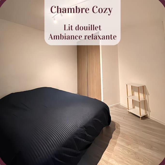 Appartement 2 Pieces Rdc En Duplex Vue Cour Parking Gratuit A 20Metres Roanne Ngoại thất bức ảnh